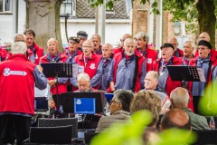 rjp-20180602-tholen-havendagen2018batraven-verkleind-1