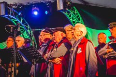 rjp-20180602-tholen-havendagen2018batraven-verkleind-18