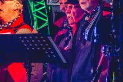 rjp-20180602-tholen-havendagen2018batraven-verkleind-19