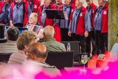 rjp-20180602-tholen-havendagen2018batraven-verkleind-2